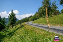 2024-08-24 KTRE 2024 -130834-DSC_0392